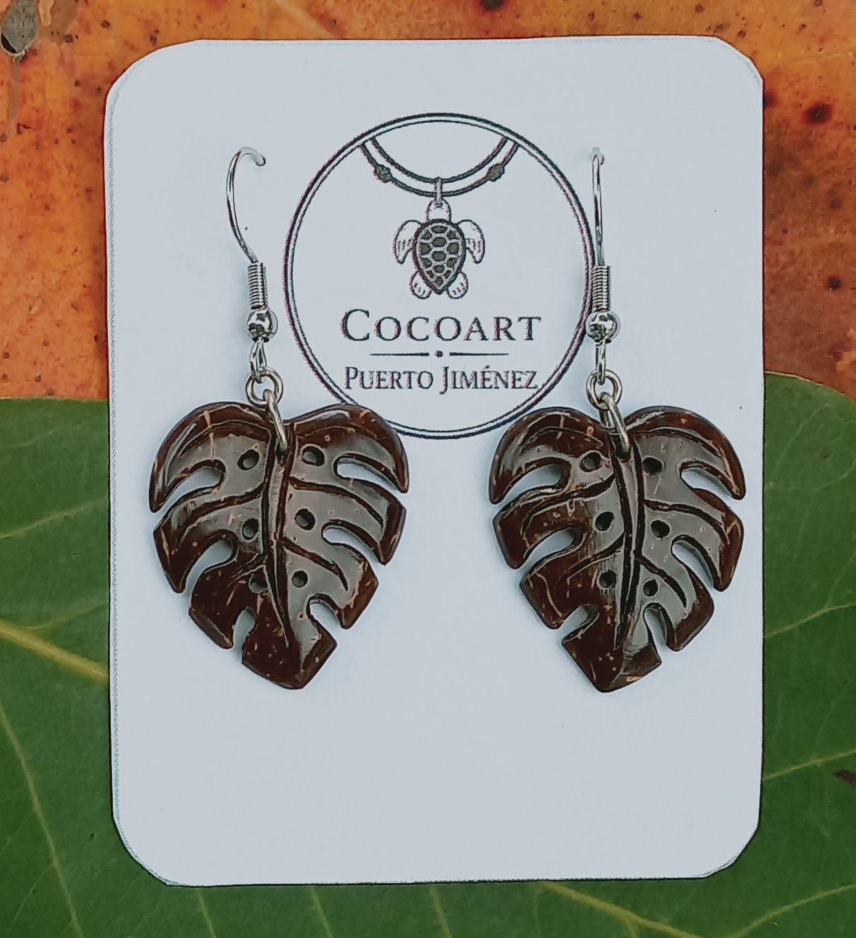 Aretes Mostera  coco